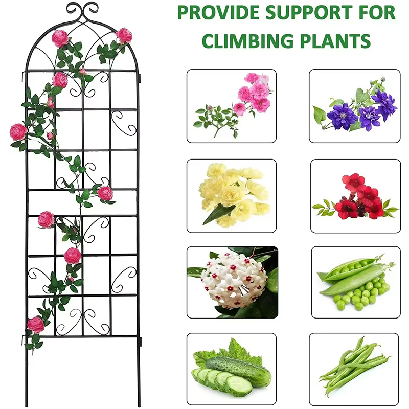 European Style Old-Fashioned Iron Climbing Rack Flower Rack Plant Stand Outdoor Garden Plant Climbing Fence