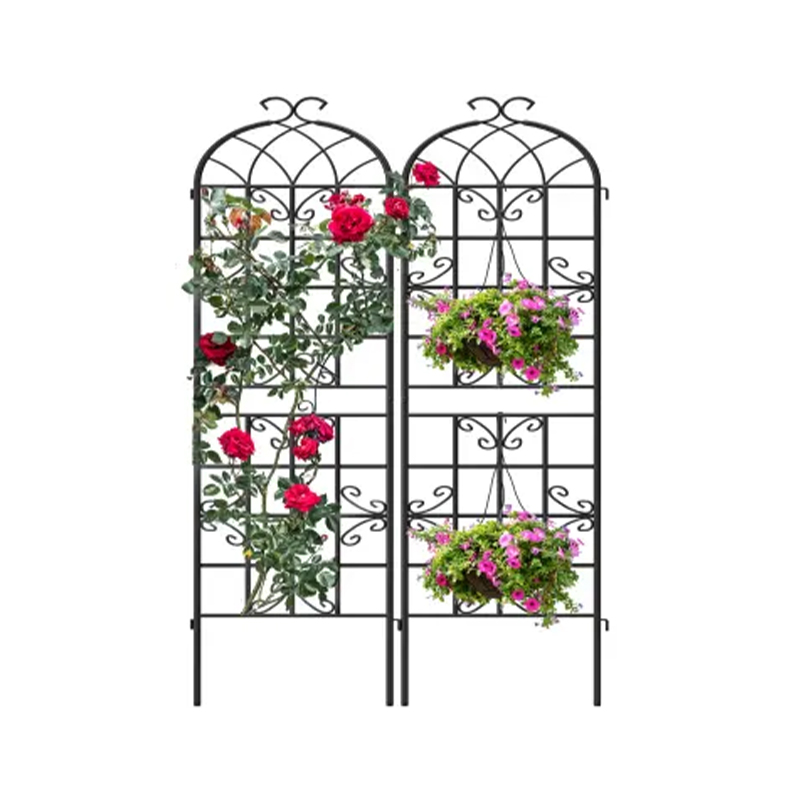 Why choosing a plant climbing fence can significantly improve the beauty of your garden?